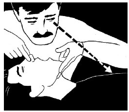 Иллюстрация к книге — Выживание везде и всегда [i_440.jpg]