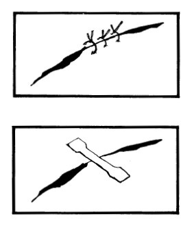 Иллюстрация к книге — Выживание везде и всегда [i_447.jpg]