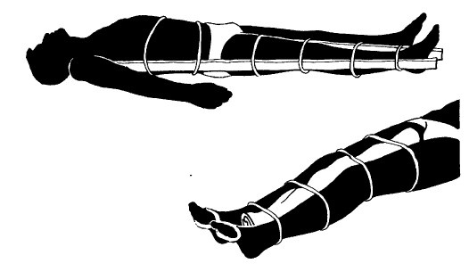 Иллюстрация к книге — Выживание везде и всегда [i_451.jpg]