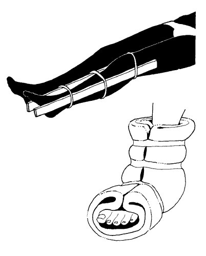Иллюстрация к книге — Выживание везде и всегда [i_453.jpg]