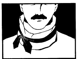 Иллюстрация к книге — Выживание везде и всегда [i_457.jpg]