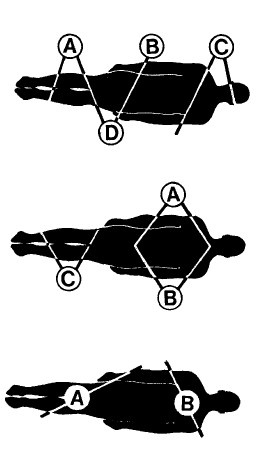 Иллюстрация к книге — Выживание везде и всегда [i_459.jpg]