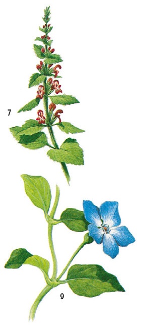 Иллюстрация к книге — Выживание везде и всегда [i_474.jpg]