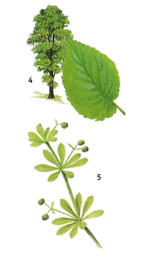 Иллюстрация к книге — Выживание везде и всегда [i_476.jpg]