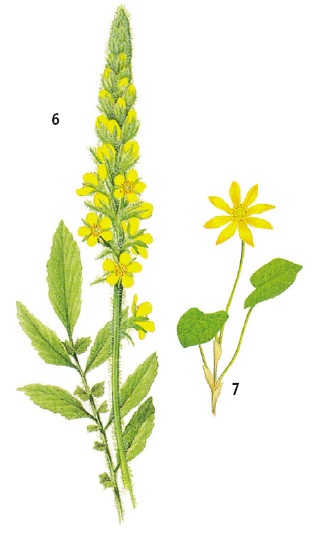 Иллюстрация к книге — Выживание везде и всегда [i_477.jpg]