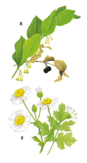 Иллюстрация к книге — Выживание везде и всегда [i_478.jpg]