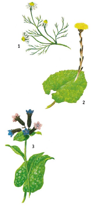 Иллюстрация к книге — Выживание везде и всегда [i_479.jpg]