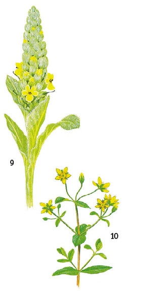 Иллюстрация к книге — Выживание везде и всегда [i_482.jpg]