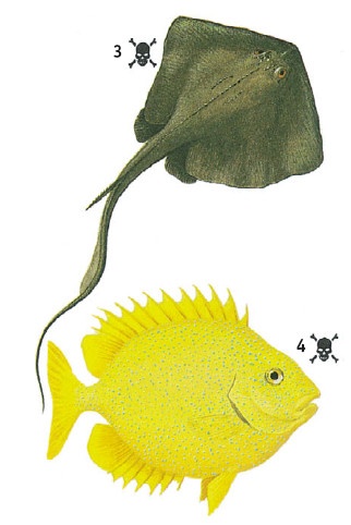 Иллюстрация к книге — Выживание везде и всегда [i_500.jpg]