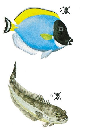 Иллюстрация к книге — Выживание везде и всегда [i_501.jpg]