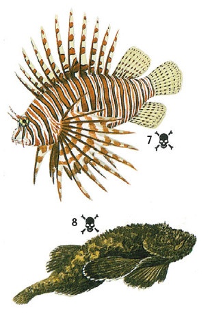 Иллюстрация к книге — Выживание везде и всегда [i_502.jpg]