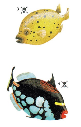 Иллюстрация к книге — Выживание везде и всегда [i_504.jpg]