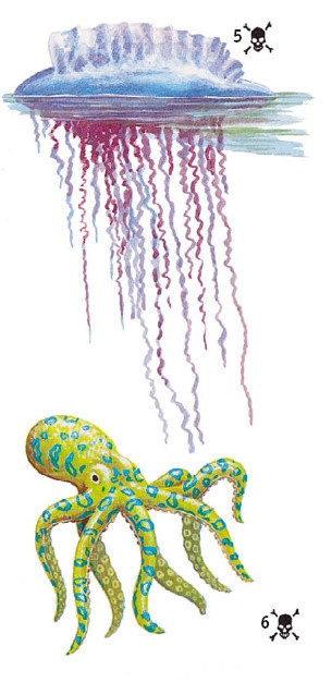 Иллюстрация к книге — Выживание везде и всегда [i_505.jpg]