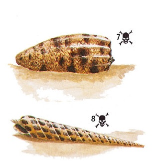 Иллюстрация к книге — Выживание везде и всегда [i_506.jpg]