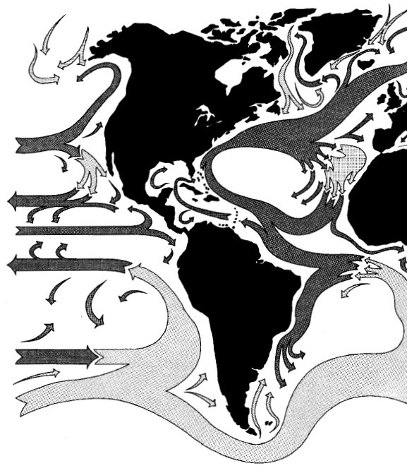 Иллюстрация к книге — Выживание везде и всегда [i_508.jpg]