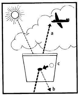 Иллюстрация к книге — Выживание везде и всегда [i_521.jpg]