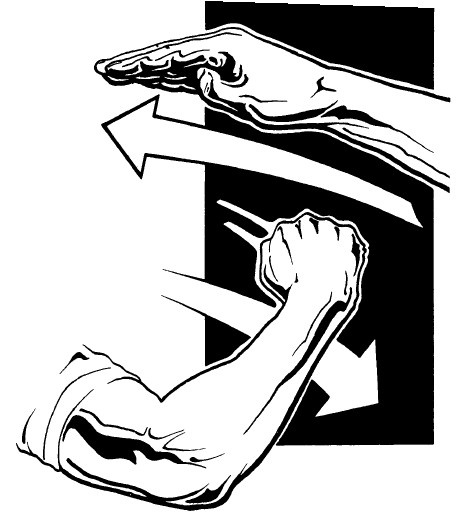 Иллюстрация к книге — Выживание везде и всегда [i_552.jpg]