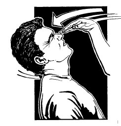 Иллюстрация к книге — Выживание везде и всегда [i_565.jpg]