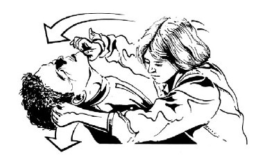 Иллюстрация к книге — Выживание везде и всегда [i_569.jpg]