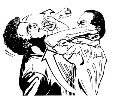 Иллюстрация к книге — Выживание везде и всегда [i_570.jpg]