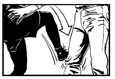 Иллюстрация к книге — Выживание везде и всегда [i_576.jpg]