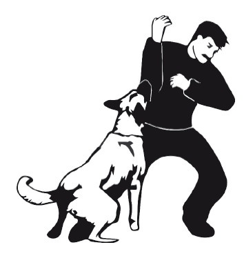 Иллюстрация к книге — Выживание везде и всегда [i_578.jpg]