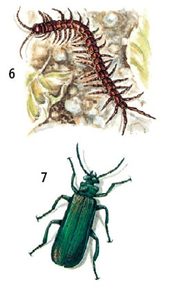 Иллюстрация к книге — Выживание везде и всегда [i_584.jpg]