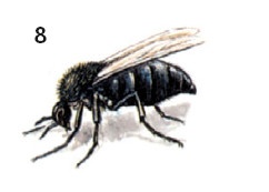 Иллюстрация к книге — Выживание везде и всегда [i_588.jpg]