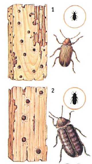 Иллюстрация к книге — Выживание везде и всегда [i_593.jpg]