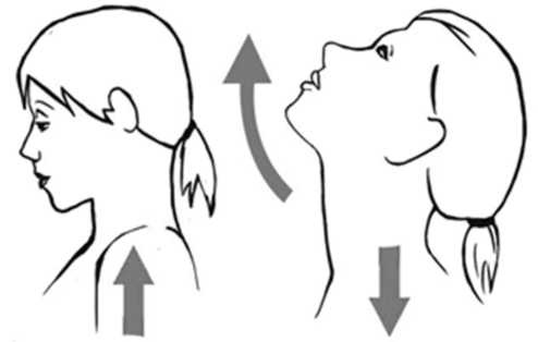 Иллюстрация к книге — Медицина здоровья против медицины болезней другой путь. Как избавиться от гипертонии, диабета и атеросклероза [i_008.jpg]