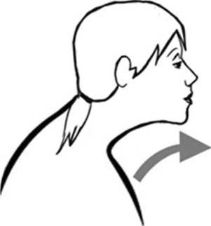 Иллюстрация к книге — Медицина здоровья против медицины болезней другой путь. Как избавиться от гипертонии, диабета и атеросклероза [i_009.jpg]