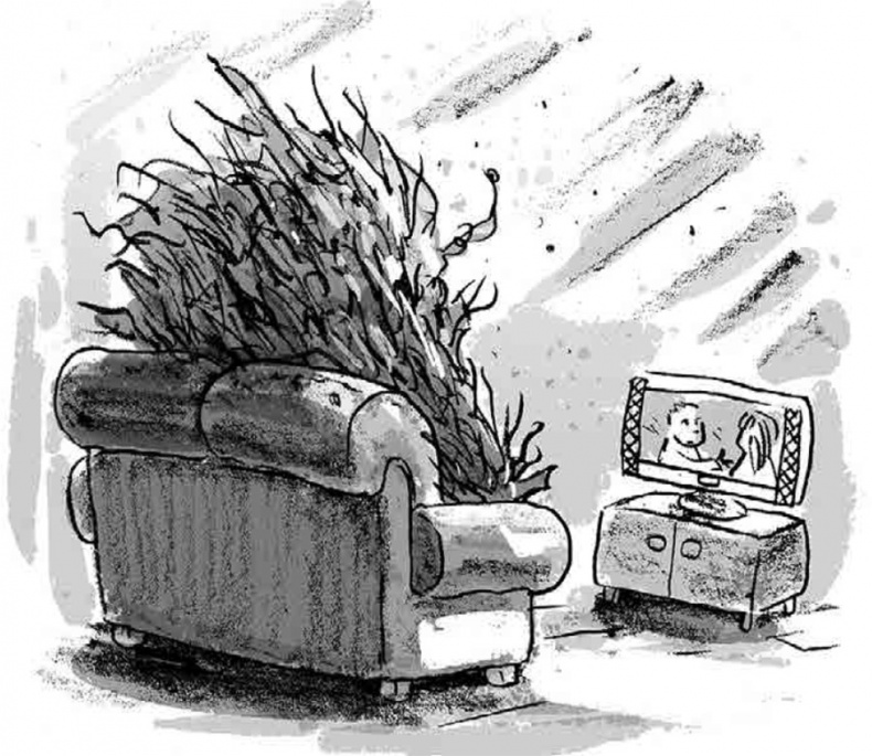 Иллюстрация к книге — Бука [i_009.jpg]