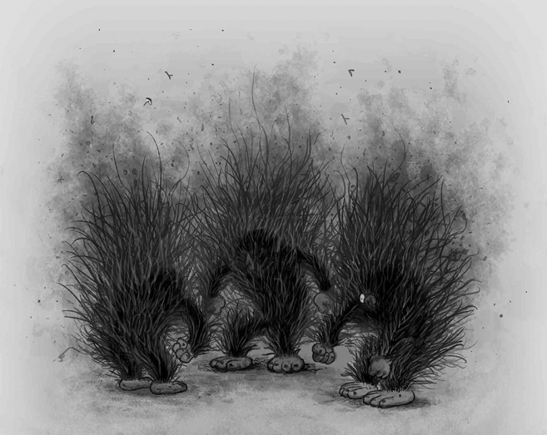 Иллюстрация к книге — Бука [i_032.jpg]