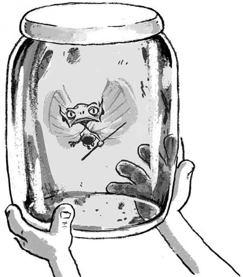 Иллюстрация к книге — Бука [i_035.jpg]