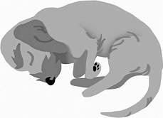 Иллюстрация к книге — Дневник взбалмошной собаки [pic_121.jpg]