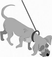 Иллюстрация к книге — Дневник взбалмошной собаки [pic_135.jpg]