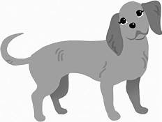 Иллюстрация к книге — Дневник взбалмошной собаки [pic_156.jpg]