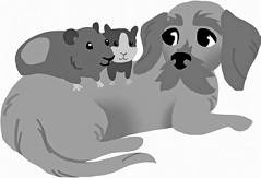 Иллюстрация к книге — Дневник взбалмошной собаки [pic_169.jpg]