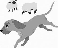 Иллюстрация к книге — Дневник взбалмошной собаки [pic_25.jpg]