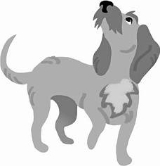 Иллюстрация к книге — Дневник взбалмошной собаки [pic_95.jpg]