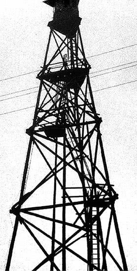 Иллюстрация к книге — Собибор / Послесловие [i_036.jpg]