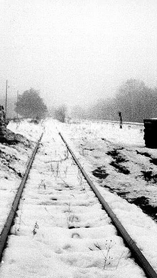 Иллюстрация к книге — Собибор / Послесловие [i_037.jpg]