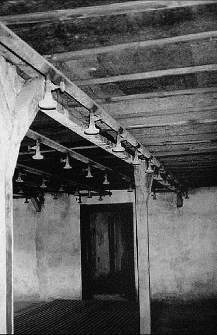 Иллюстрация к книге — Собибор / Послесловие [i_044.jpg]