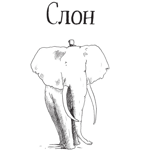 Иллюстрация к книге — Слон [i_001.jpg]