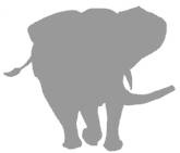 Иллюстрация к книге — Слон [i_002.jpg]