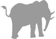 Иллюстрация к книге — Слон [i_008.jpg]