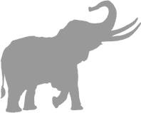 Иллюстрация к книге — Слон [i_014.jpg]