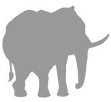 Иллюстрация к книге — Слон [i_018.jpg]