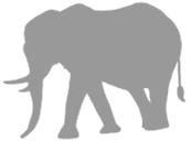 Иллюстрация к книге — Слон [i_023.jpg]