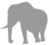 Иллюстрация к книге — Слон [i_025.jpg]